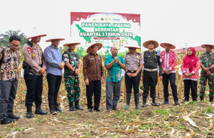 Wali Kota Wesly Diwakili Asisten Zainal Siahaan Hadiri Panen Raya Jagung di Sumber Jaya