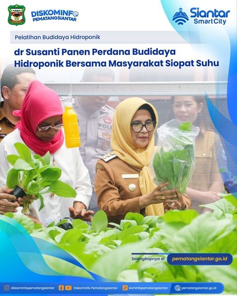 dr Susanti Panen Perdana Budidaya Hidroponik Bersama Masyarakat Siopat Suhu